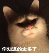 为什么大公司分工这么细？
