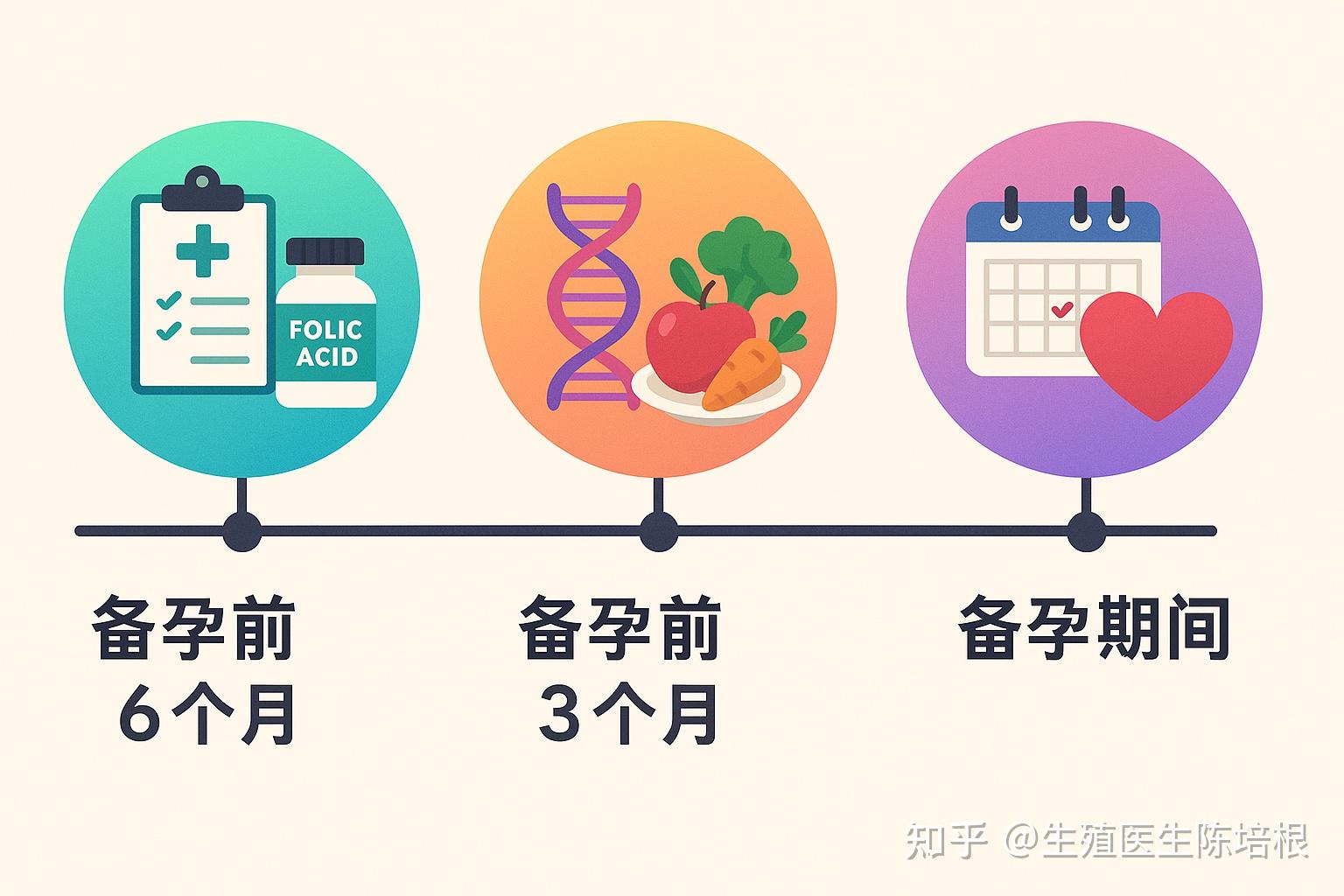 备孕应该怎么备?基于循证医学的科学备孕完全指南 - 知乎