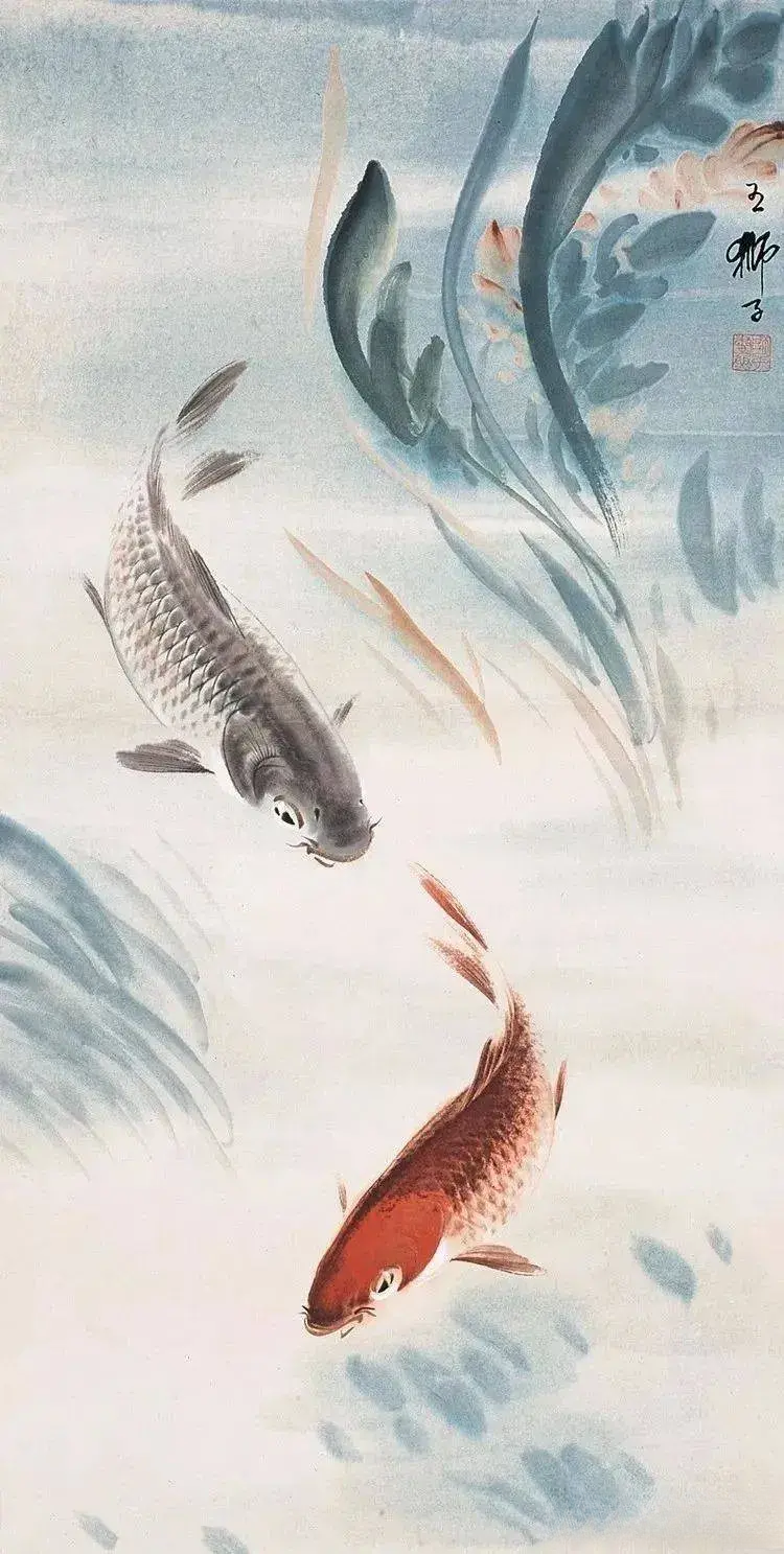 王师子笔下的鲤鱼！ - 知乎