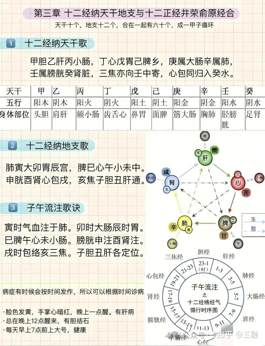 天干地支与人体部位对应表 - 知乎