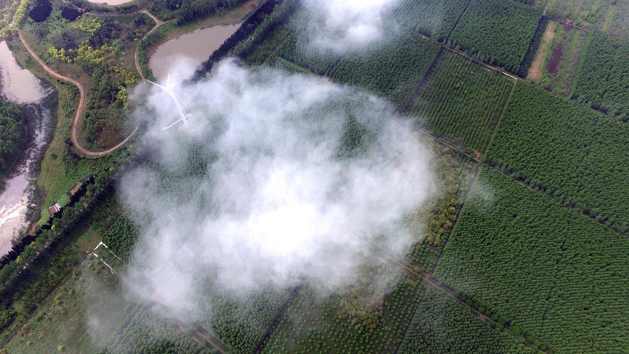 3. 青岛自贸区详址