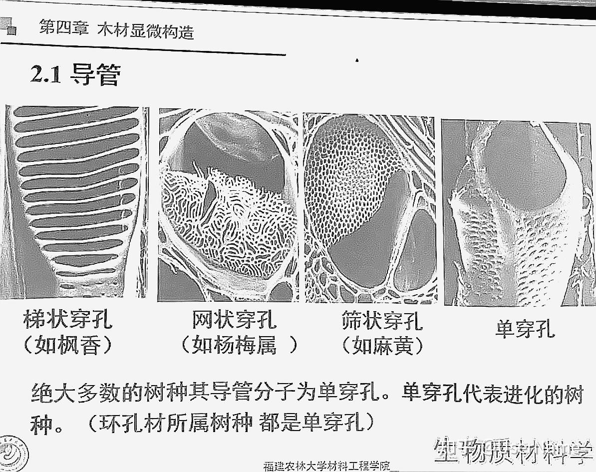 生物质材料学 1st homework - 知乎