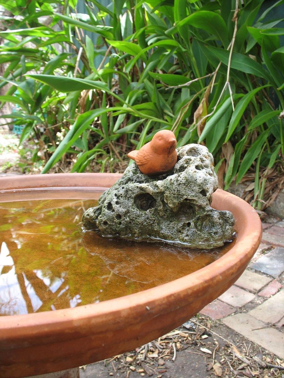 古董盆栽价值高