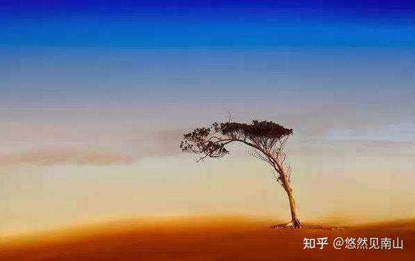 内在的从容 - 知乎