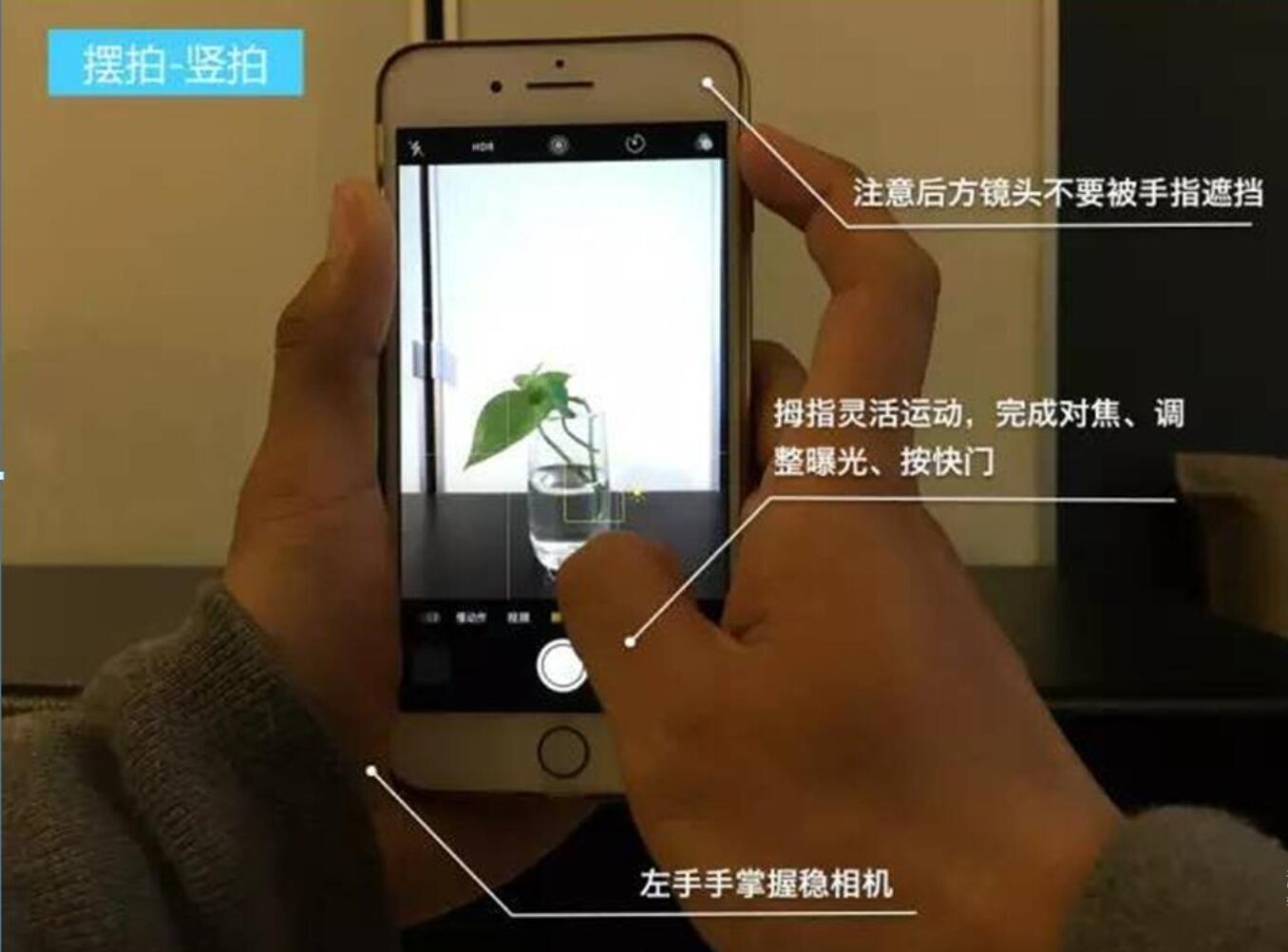 手机摄影技巧大全 - 知乎