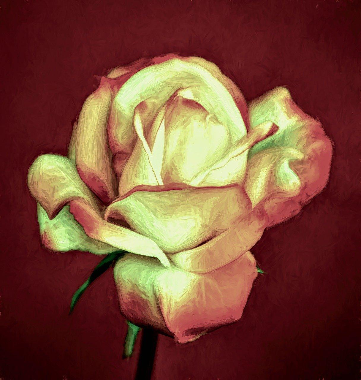 触动即“害羞”的秘密