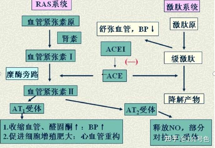 《药理学》学习心得(88分,附超好用资料) - 知乎