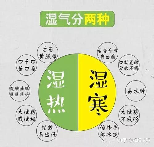 你是寒湿还是湿热体质？90%的人都搞错了 - 知乎