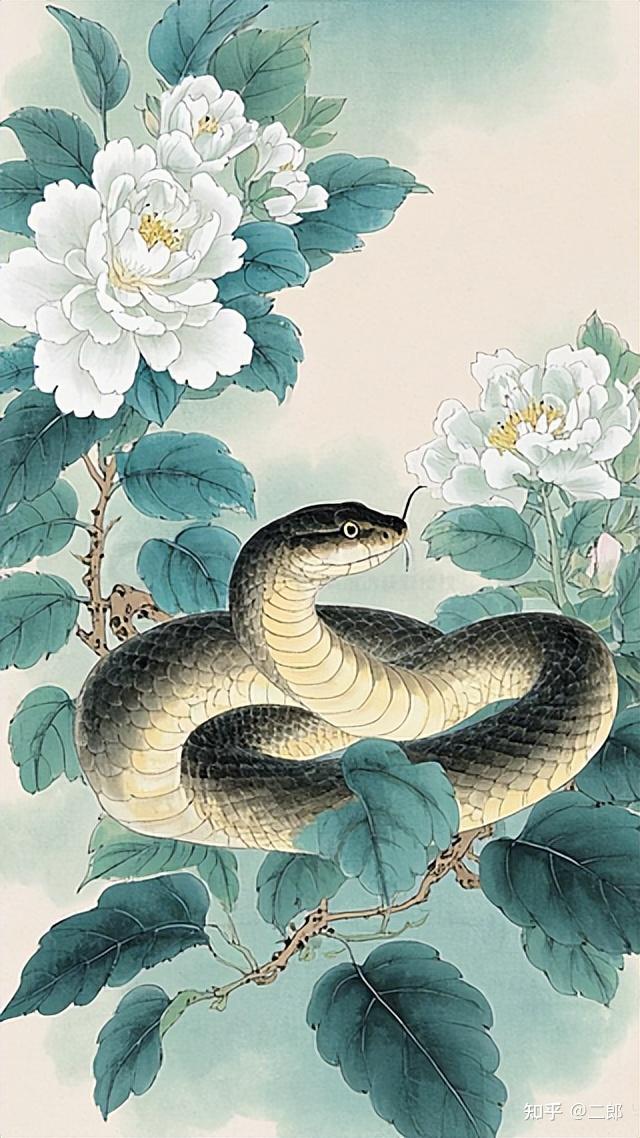 202o年生肖蛇运势(生肖蛇2020年运势)