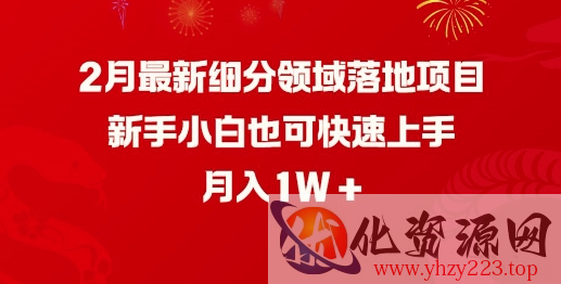 2月最新细分领域落地项目，新手小白也可快速上手，月入1W