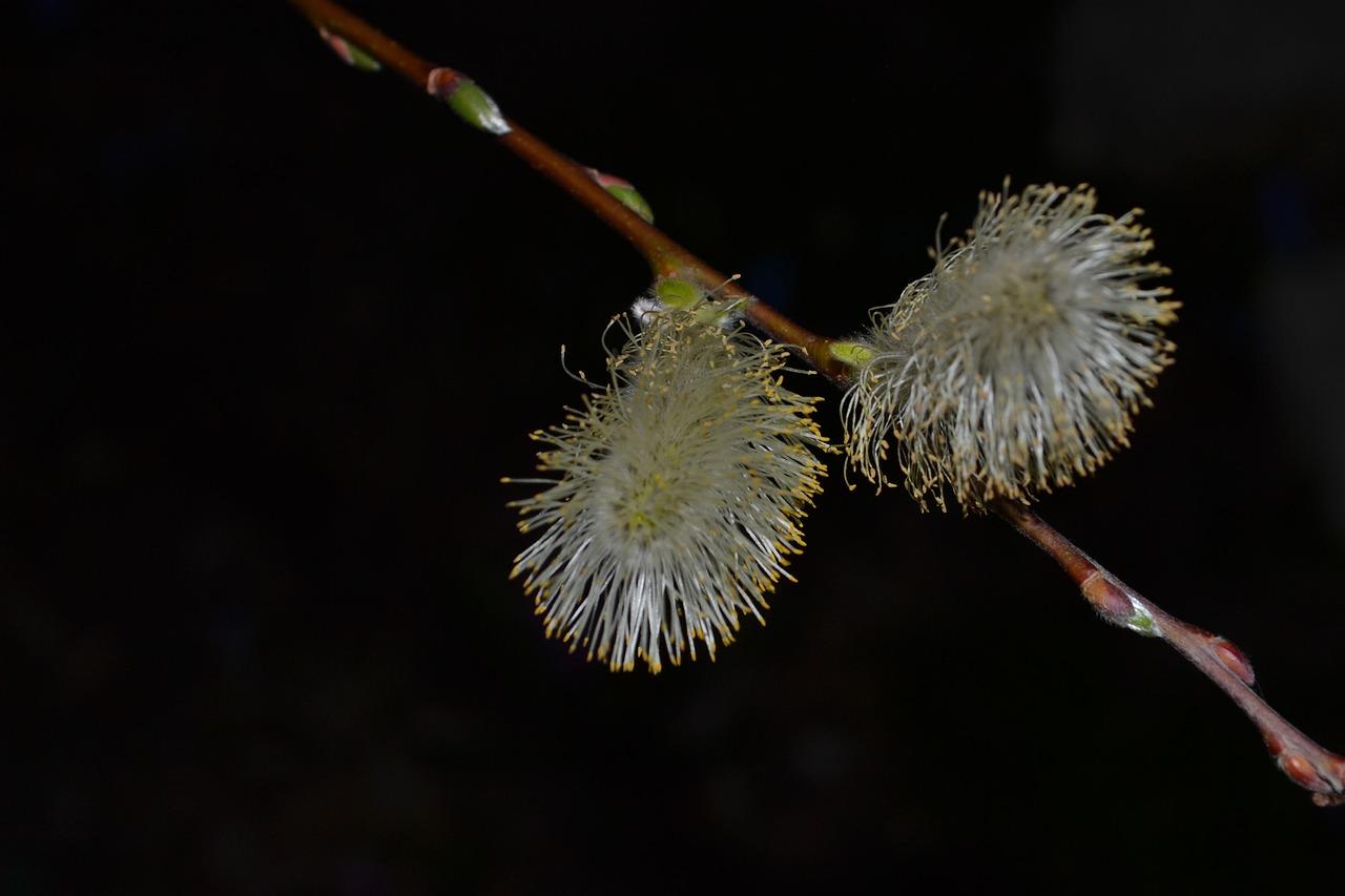 2. 黄鹤楼投资价值