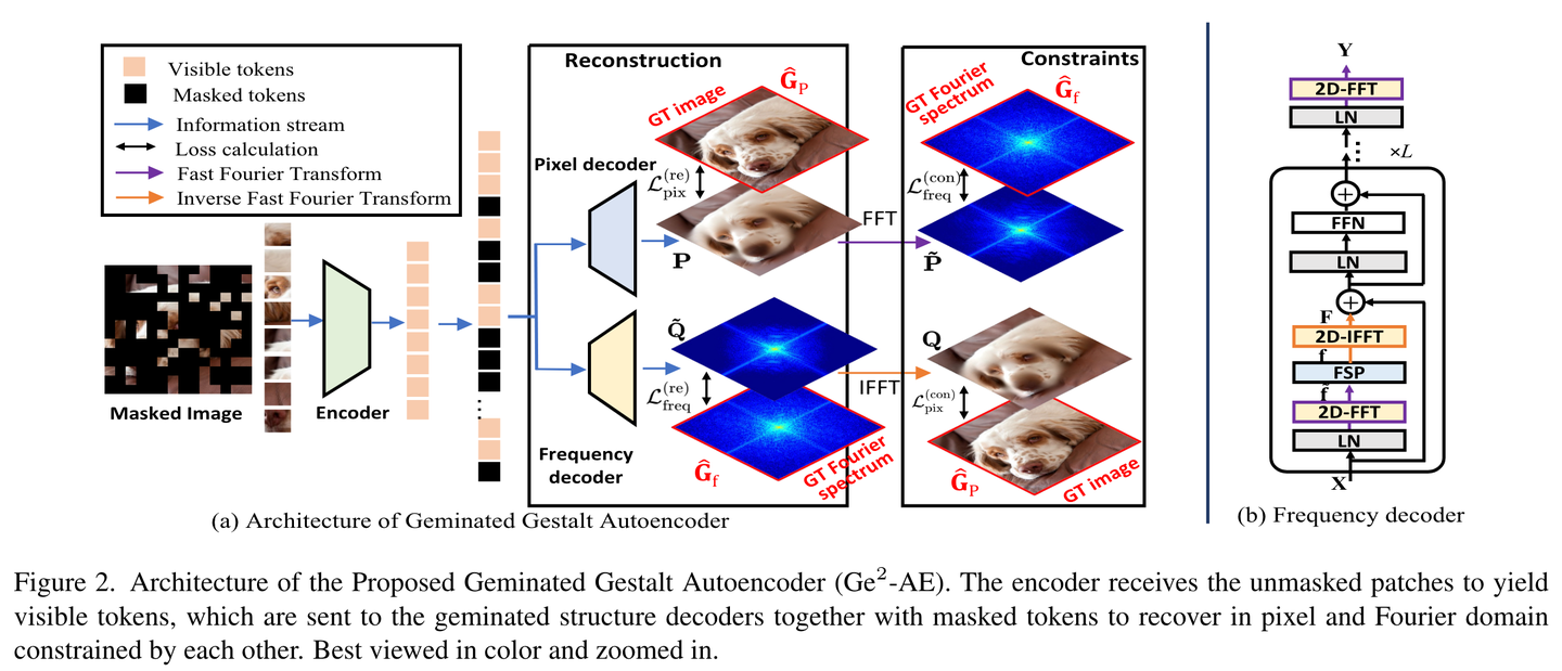 Mask Autoencoder 各类变体 - 知乎
