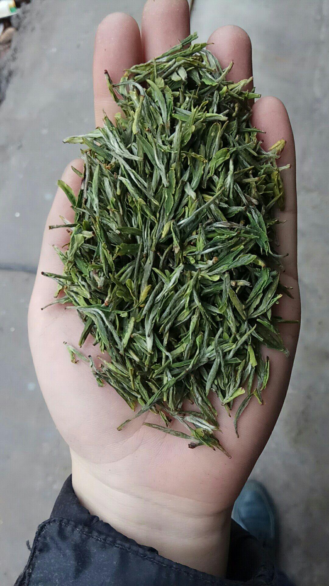 绿茶中的江山绿牡丹茶有哪些独特的地方或者说哪一方面尤其出众