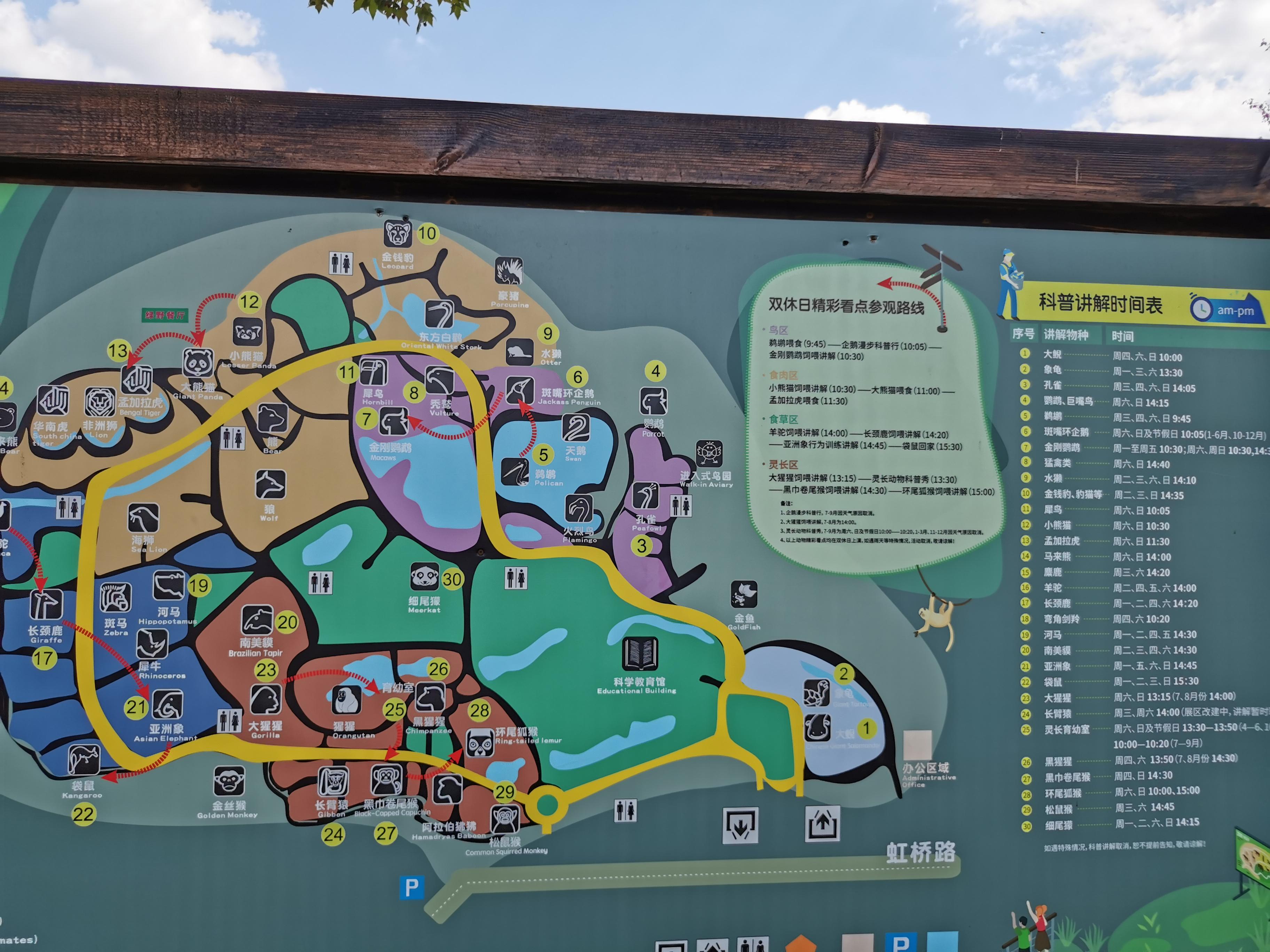 动画片对孩子诱惑力极大,孩子因爱看而沉迷其中不能园,有什么好的