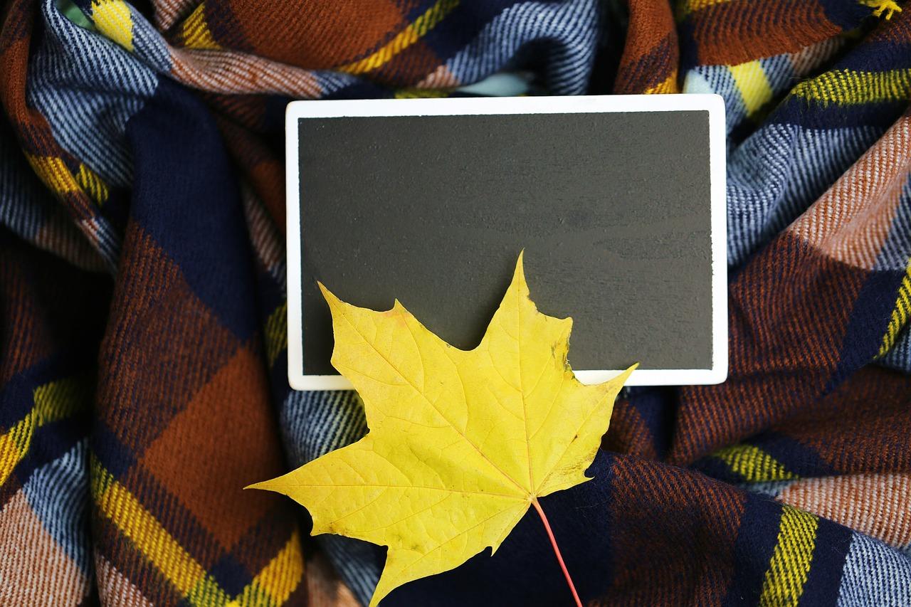 2. 枫景汇户型分析