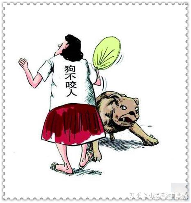 为什么社会现在很讨厌爱狗人士