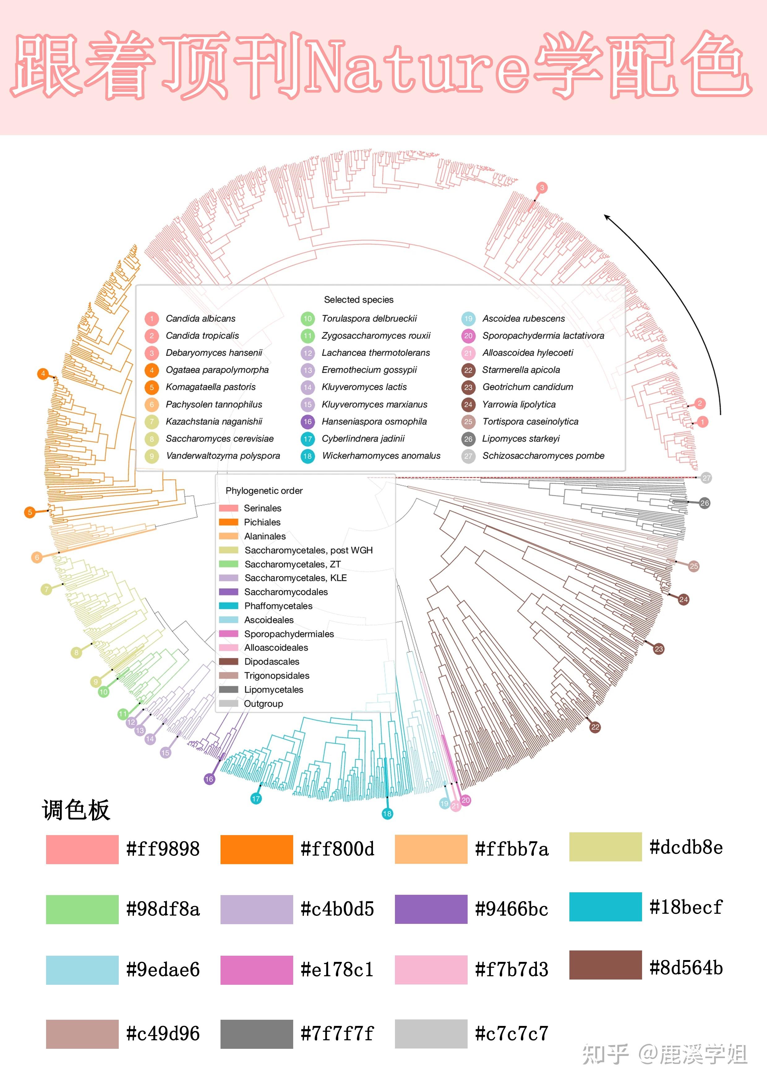 Nature御用配色公式！科研绘图秒变顶刊风，3招搞定高级感 - 知乎