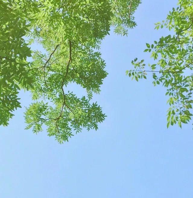 有哪些极简主义的头像值得分享