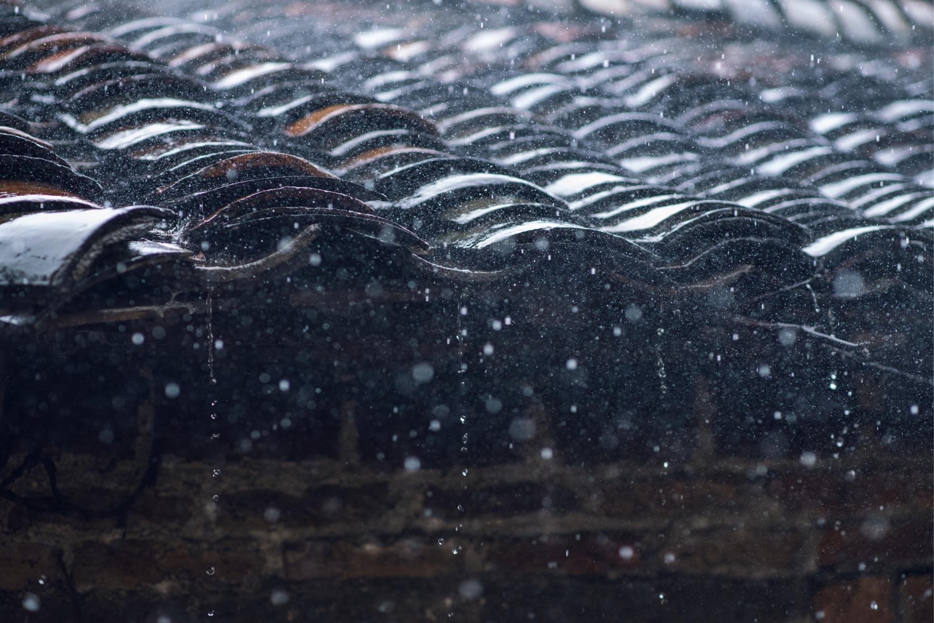 怎么样拍雨天雨滴落下的特写?