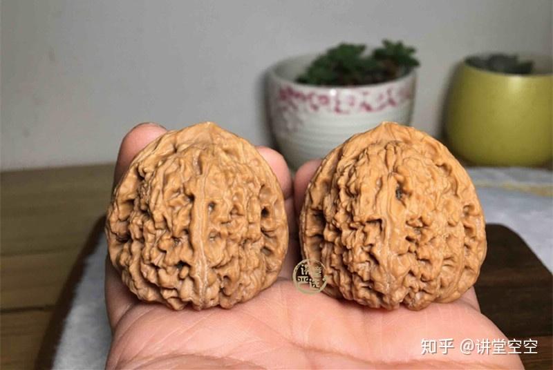 大沽石核桃 文玩（极品大沽石 核桃 文玩クルミ （日経ヘルス