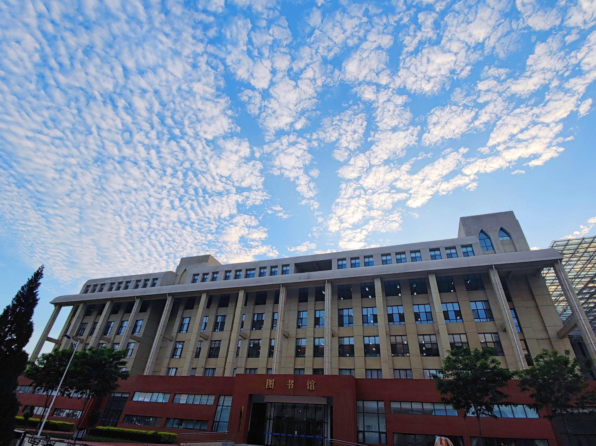 宁夏能源大学银川学院图片