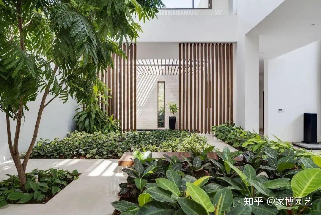 家博园艺｜在室内与自然相遇——关于室内空间造景 - 知乎