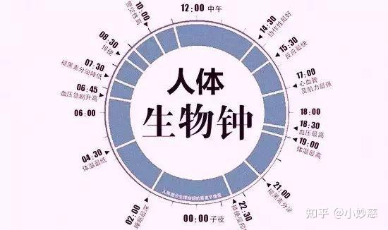 如何正确理解生物钟？ - 知乎