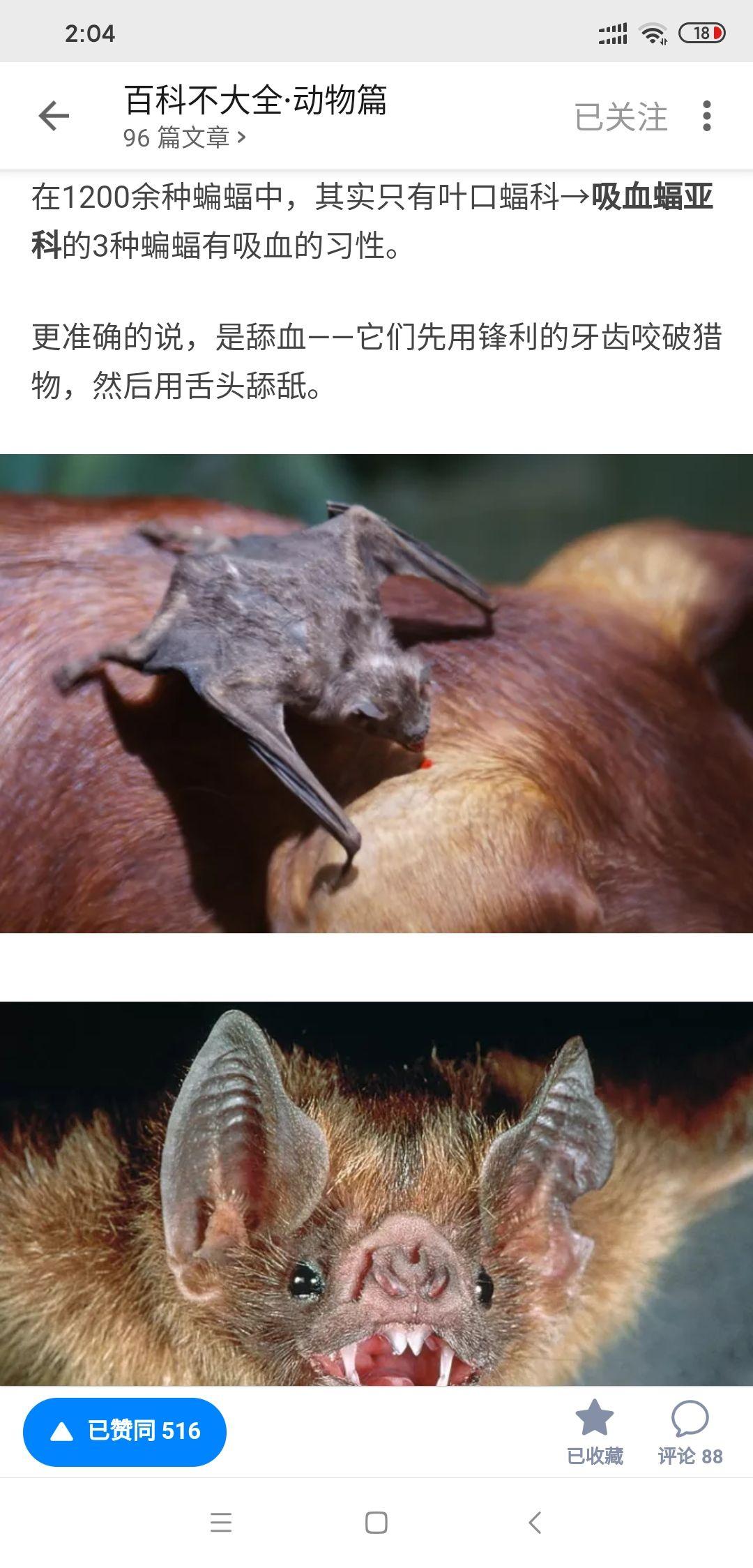 浙江这一带的蝙蝠会咬人吗? - 知乎