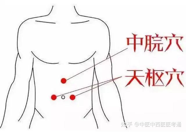 十个中医常用穴位 - 知乎