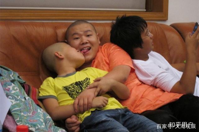 岳云鹏为什么打陶阳