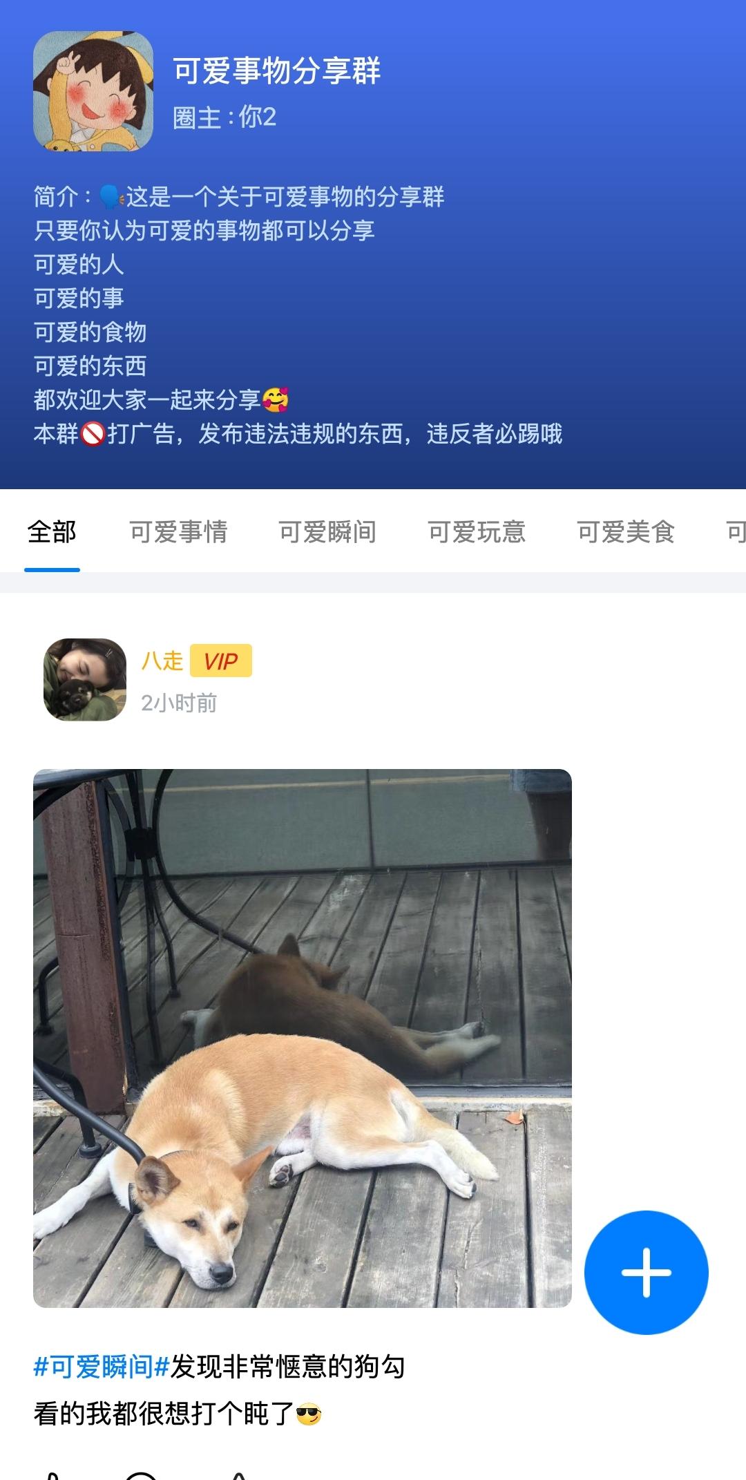 蝙蝠聊天的群聊圈子怎么玩