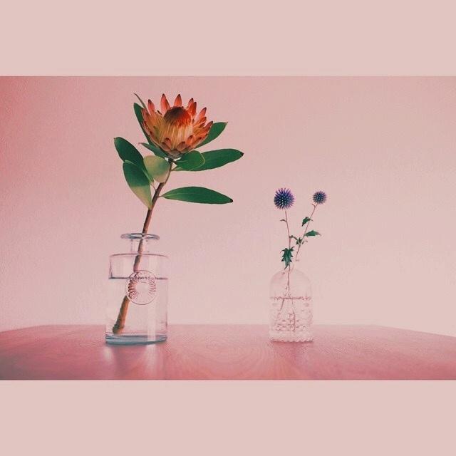 有哪些让人眼前一亮的微信封面?