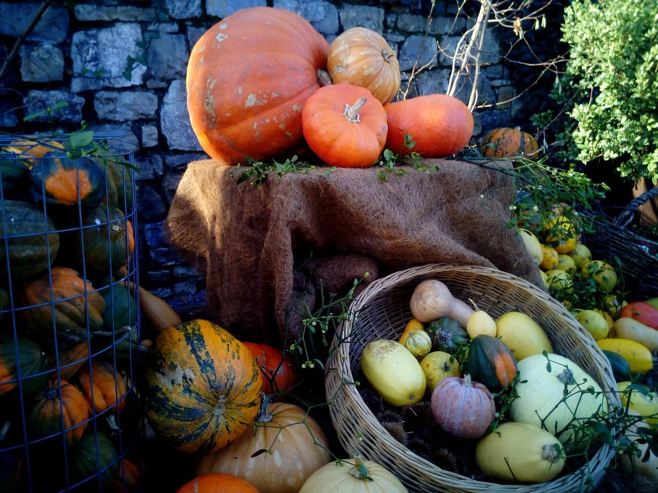 2. 葫芦去瓤方法