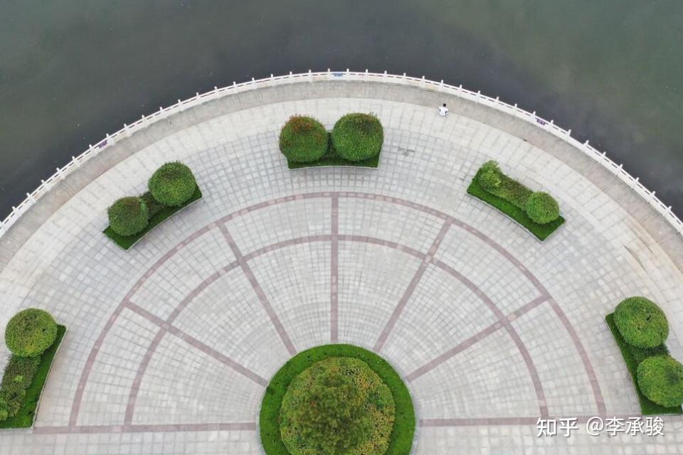 景观设计中的孤植之美 - 知乎