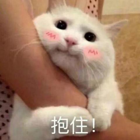 看到个表情包,好可爱,跟你们先分享下. 好,看完进入主题.