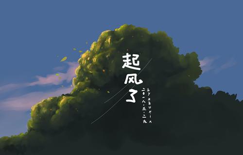 咨询师手账26起风了