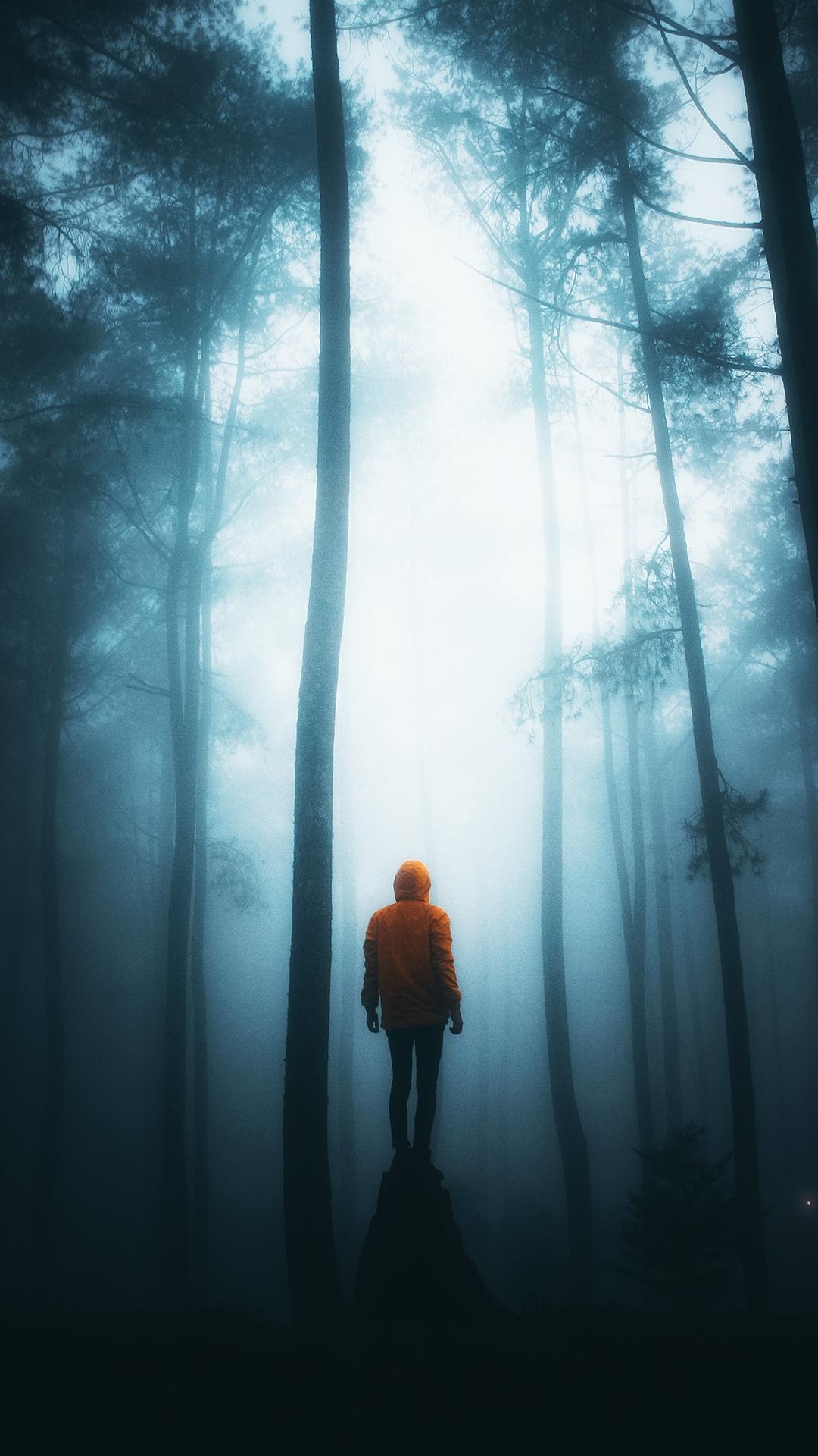 有哪些梦幻唯美,意境深远开阔,颜色淡雅,以景为主的的壁纸或图片?