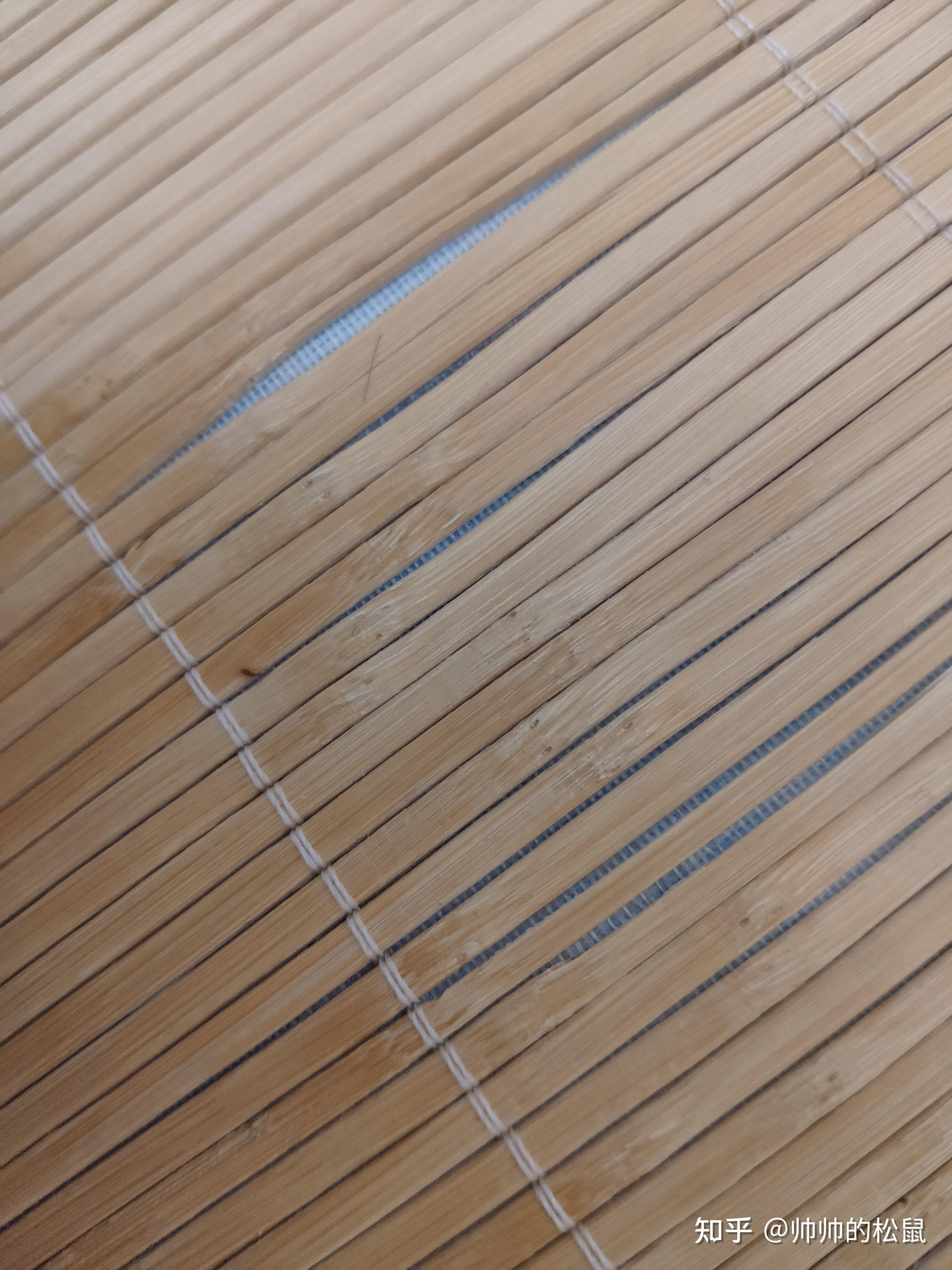 凉席上的小虫子有好多一直在爬? - 知乎