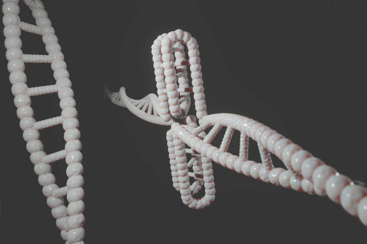 主题酒店分为多少主题