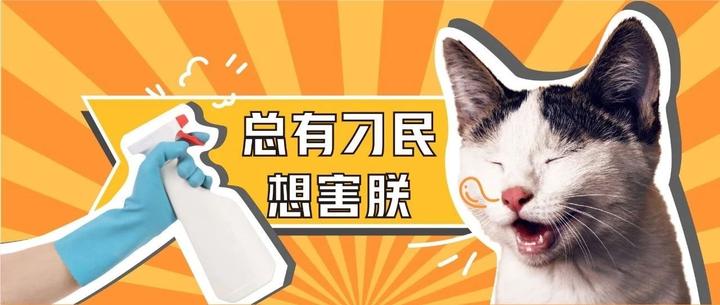 别让消毒变中毒，养猫家庭慎用含这4种成分的消毒液！ - 知乎