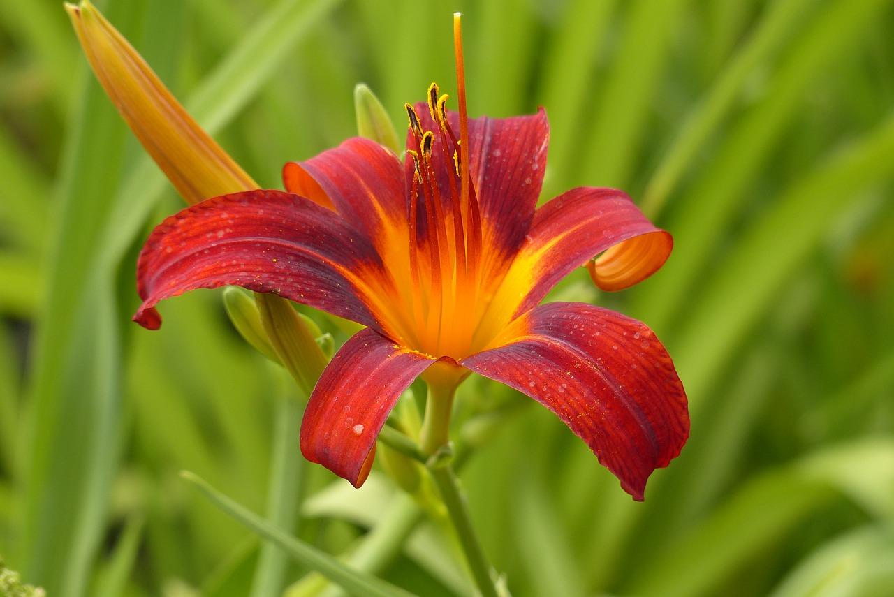 佳园花都属于什么区