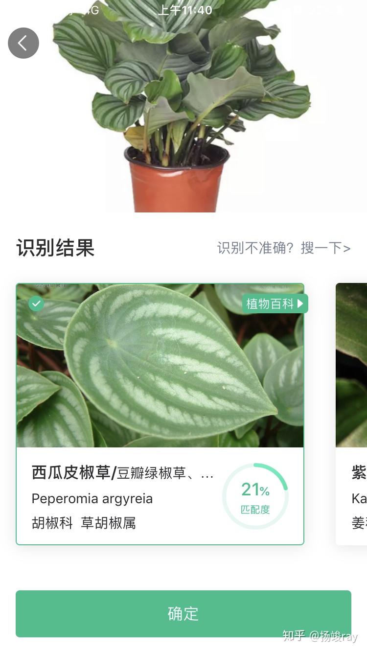 贵州首家绿植共享平台正式上线 一键下单即可拥有“共享植物”