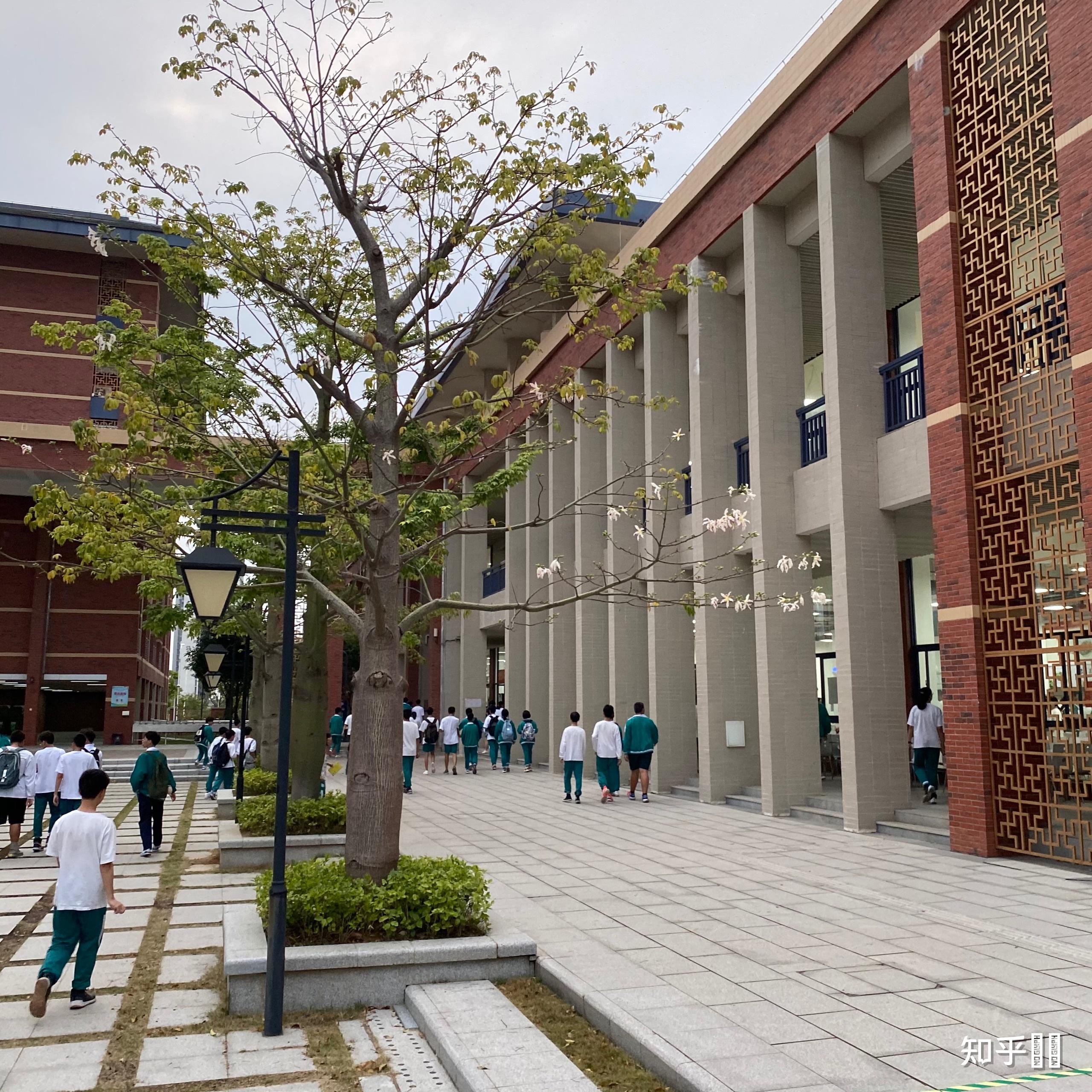 在广东实验中学珠海金湾学校(金湾一中)就读是什么体验? - 知乎