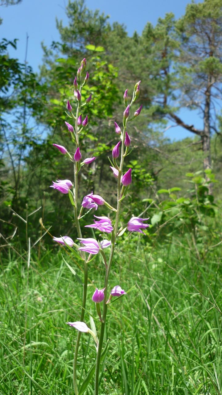 4. 消毒后养护要点