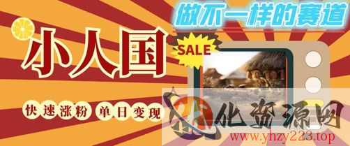 DeepSeek+绘图+视频制作小人国微观视频，小白轻轻松松上手，条条爆款，条条变现，单日就能收益