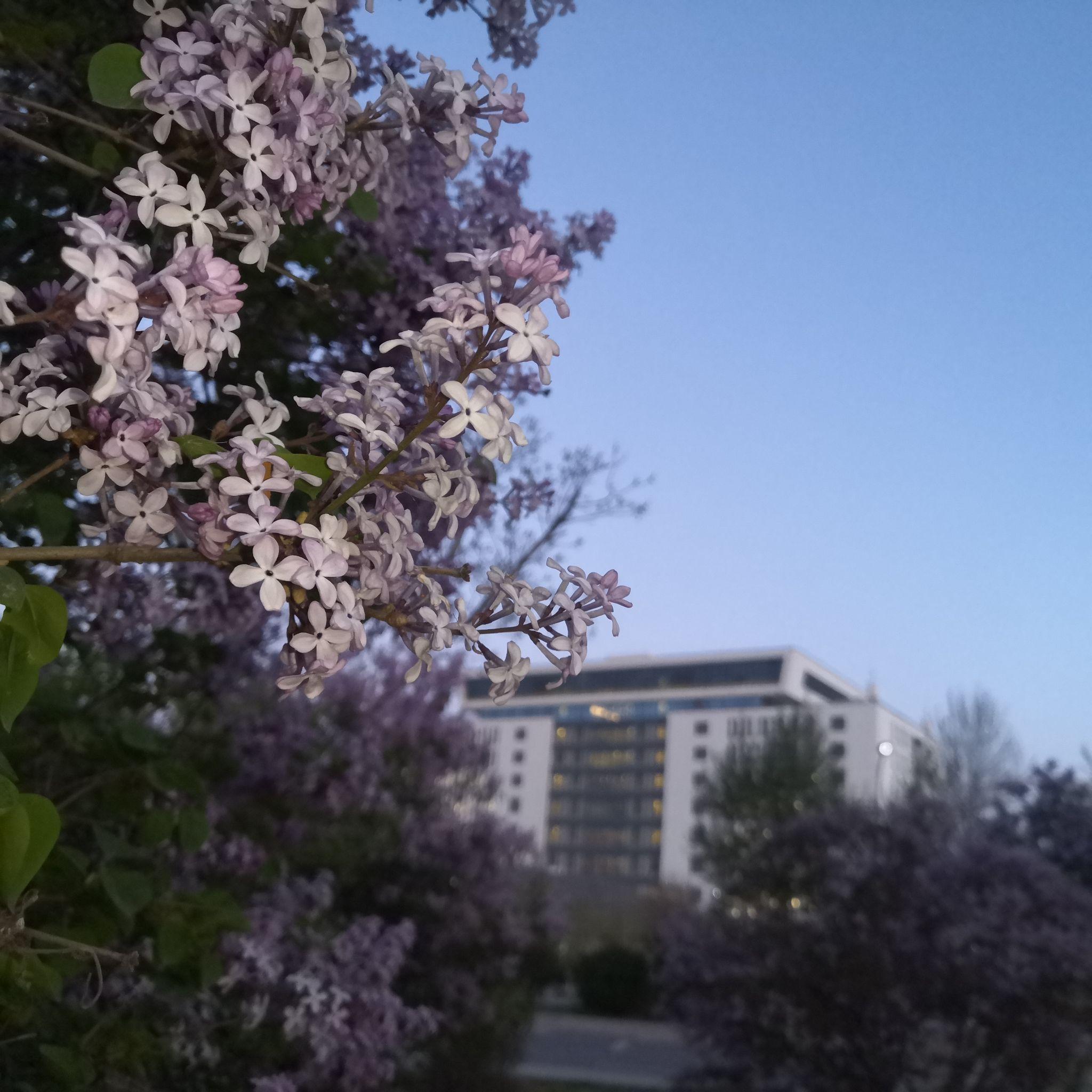 青海师范大学吧（青海师范大学2020年7月26更报师大没有选择）