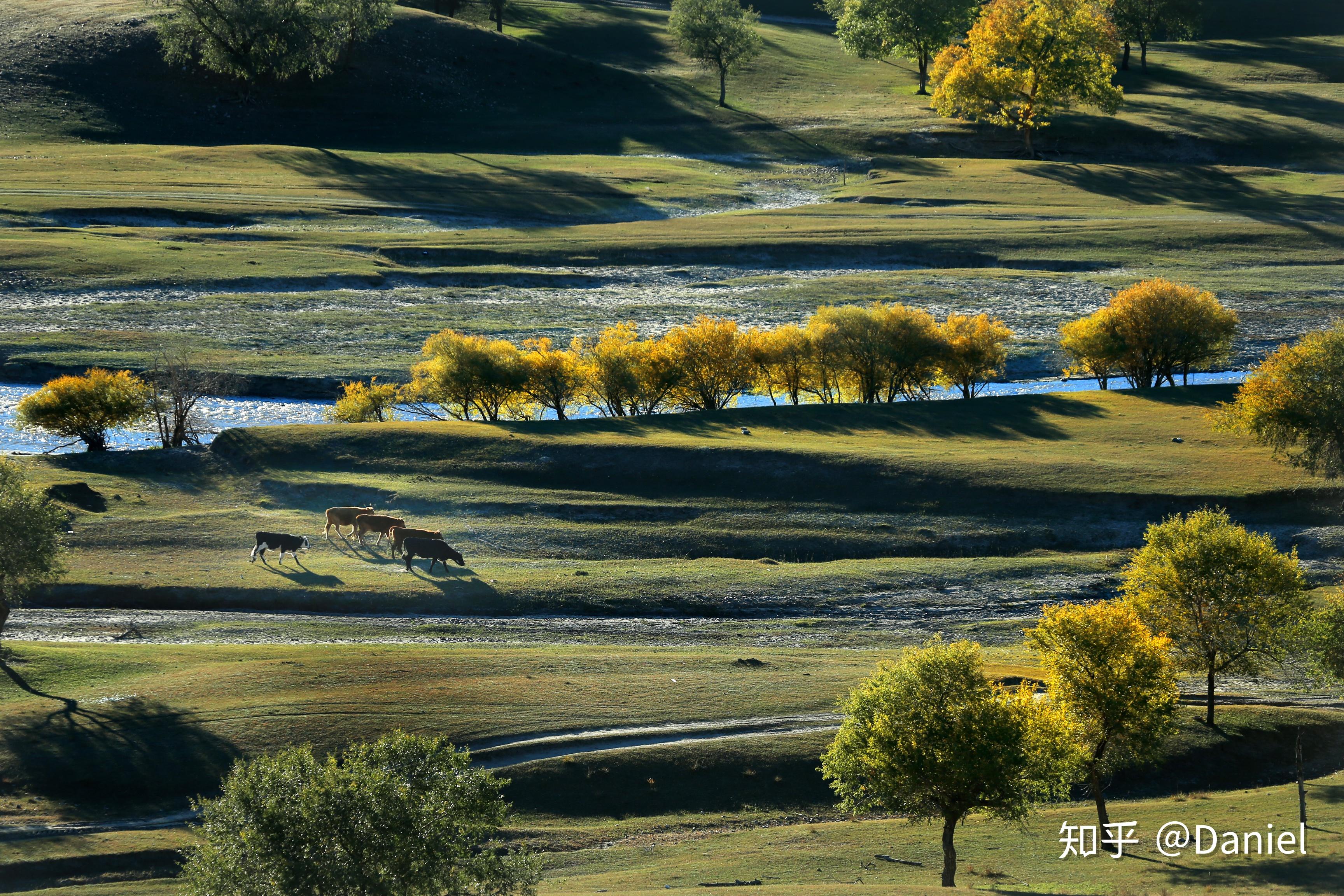 坝上草原到底是哪儿有好几个吗哪个风景最好