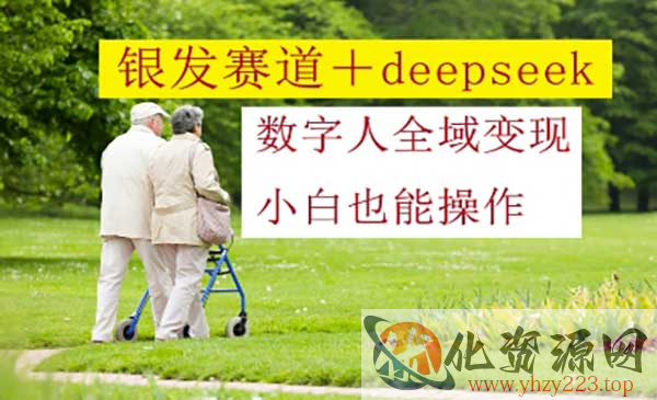 Deepseek银发赛道变现_wwz