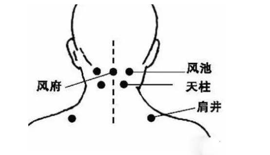 治失眠最快的穴位视频 v2-03b6bb386c916d816ea6fd56d06cd6a0_1440w.jpg?source=172ae18b