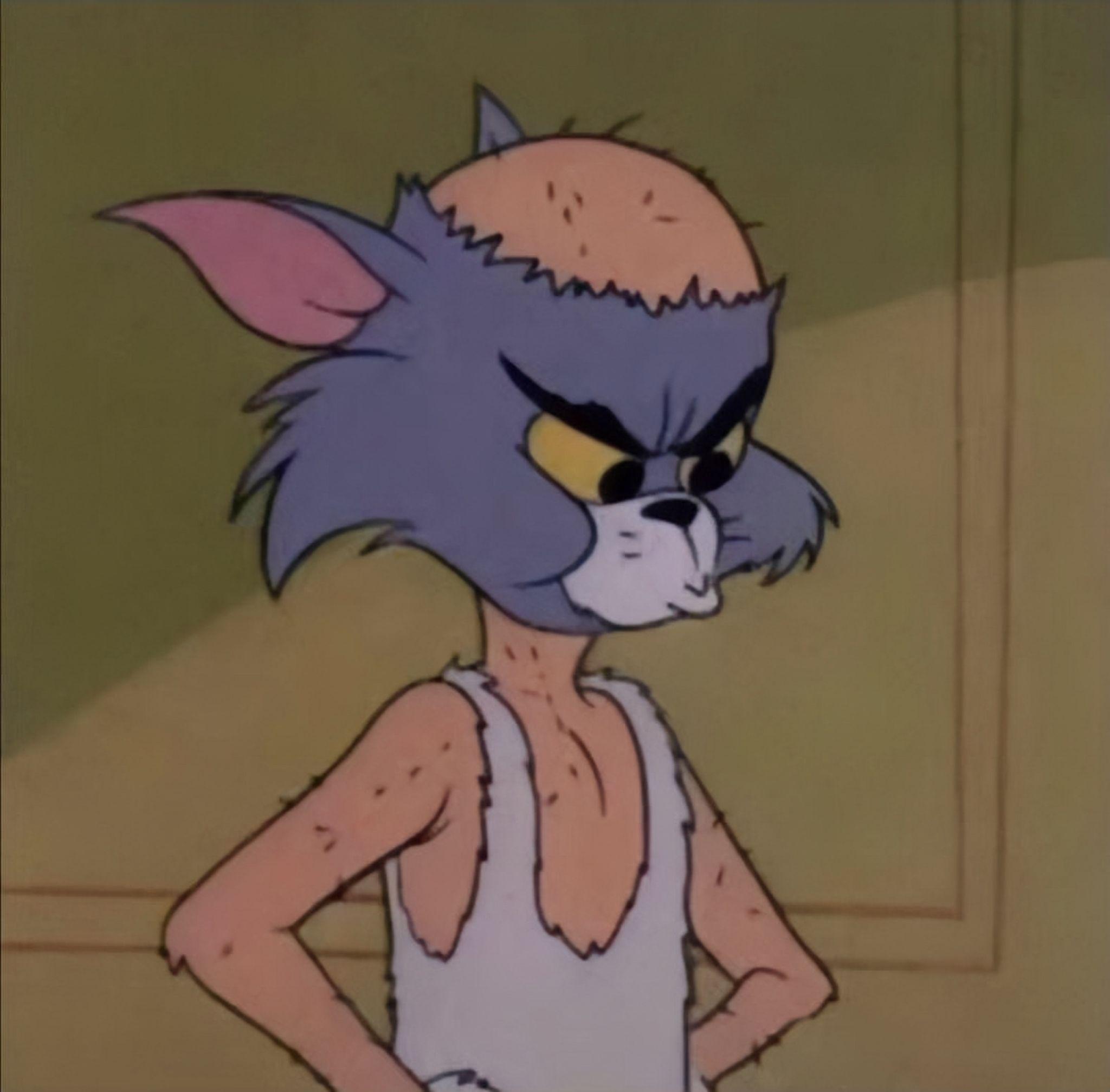 有哪些好看高清的猫和老鼠的头像? - 知乎